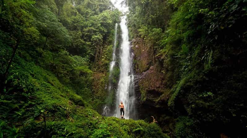 Bali: Discover Hidden Waterfalls Private All-Inclusive Tour - Tour Highlights