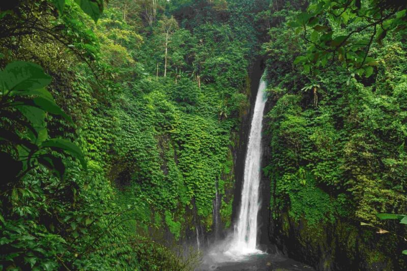 Bali: Discover Hidden Waterfalls Private All-Inclusive Tour - Inclusions