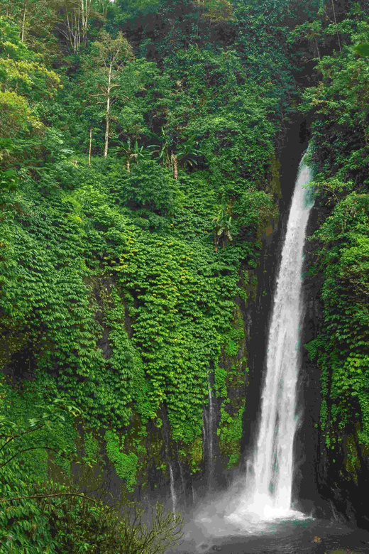 Bali: Discover Hidden Waterfalls Private All-Inclusive Tour - Important Information