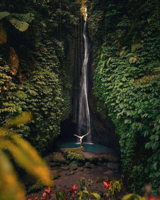 Bali: Discover Jungle Waterfalls and Rice Terraces - Key Points