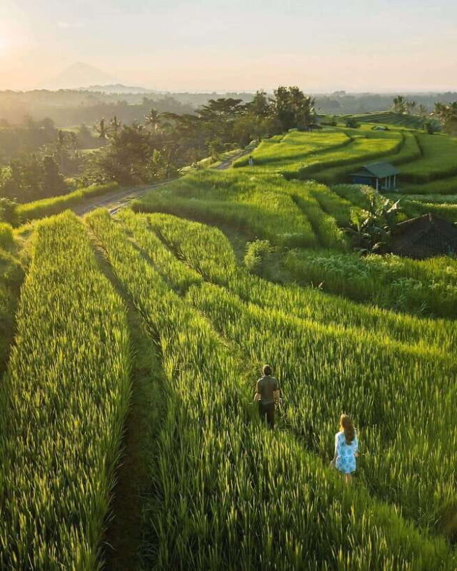 Bali: Discover Jungle Waterfalls and Rice Terraces - Exploring the Waterfalls: A Variety of Natural Marvels