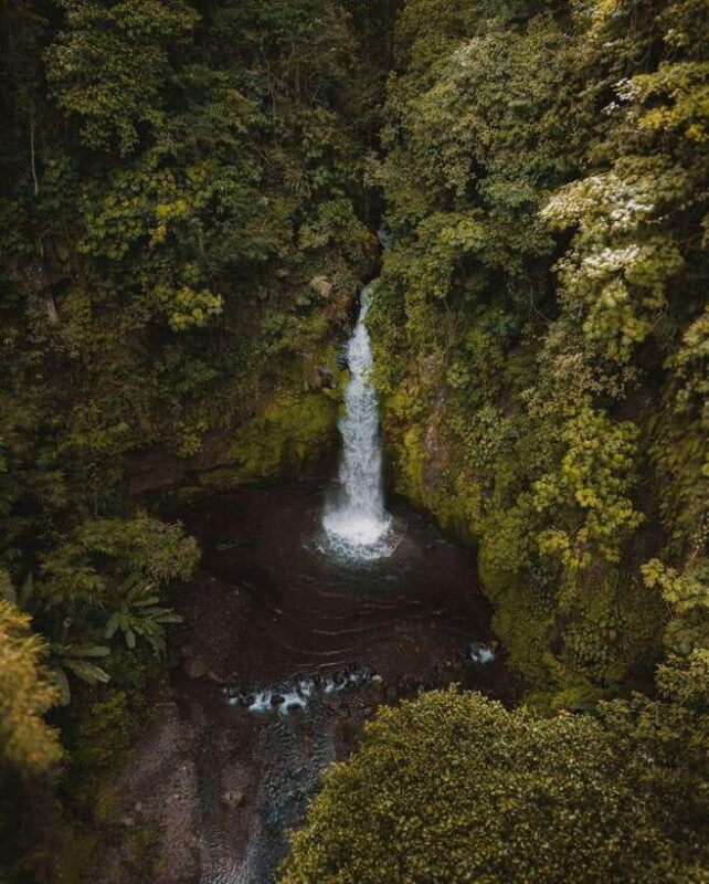 Bali: Discover Jungle Waterfalls and Rice Terraces - The Practicalities: Logistics, Value, and Personal Touches