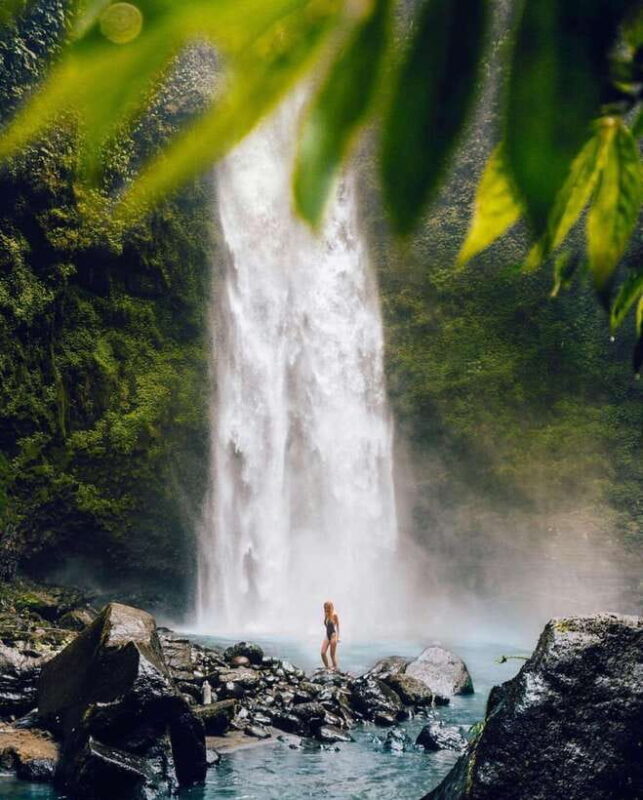 Bali: Discover Jungle Waterfalls and Rice Terraces - What’s Included and What’s Not