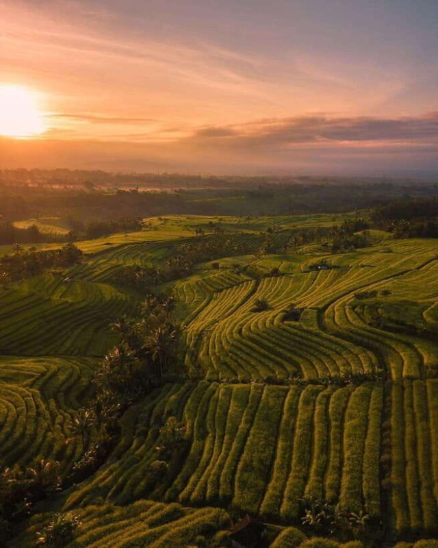 Bali: Discover Jungle Waterfalls and Rice Terraces - Authenticity and Real-World Feedback