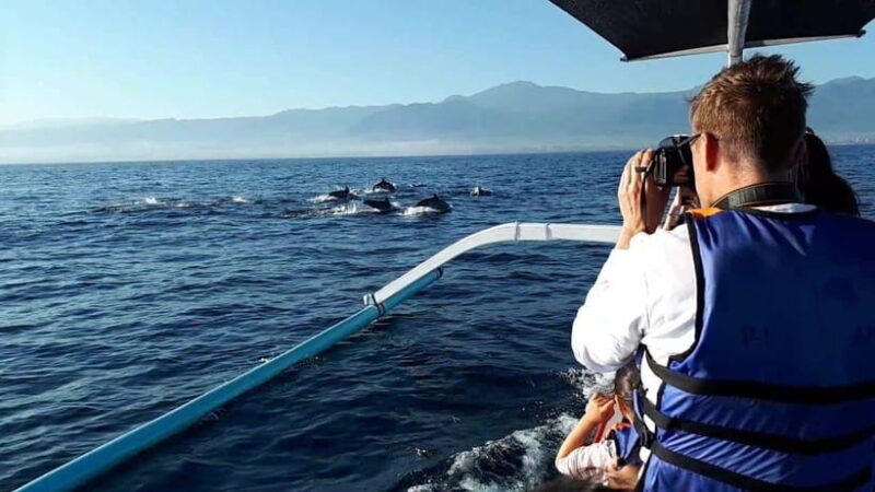 Bali dolphin, swim & snorkeling in Lovina Bali - FAQ