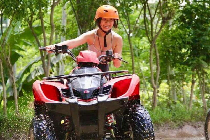 Bali: Dolphin Swimming Tour with ATV Quad Bike & Waterfall - An Adventure in North Bali: What to Expect