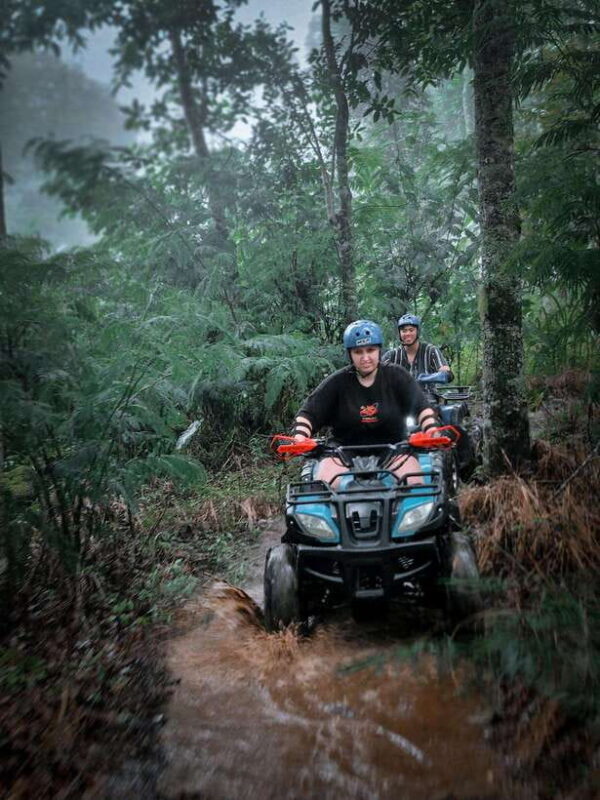 Bali: Dolphin Swimming Tour with ATV Quad Bike & Waterfall - Who Should Consider This Tour?
