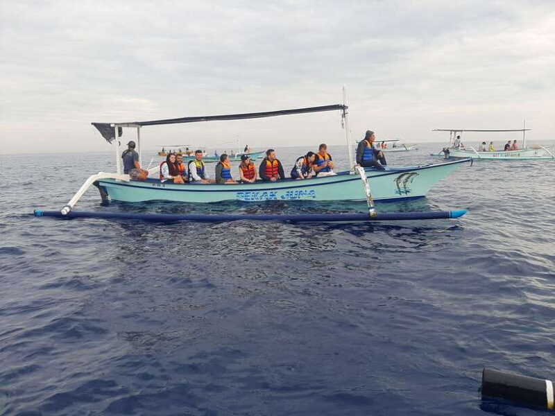 Bali Dolphin tour and sunrise in Lovina - Authenticity and Practicalities