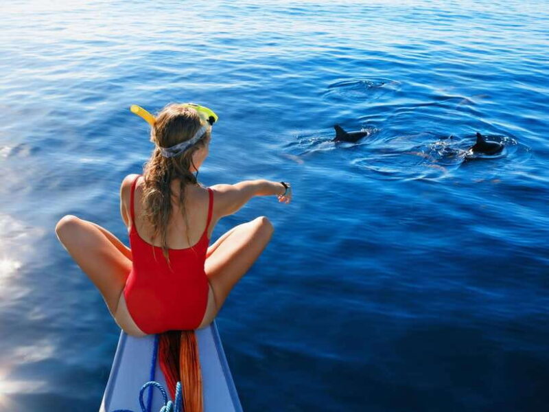 Bali: Dolphin Watching, Aling Aling Waterfall, and Coffee - An In-Depth Look at the Tour