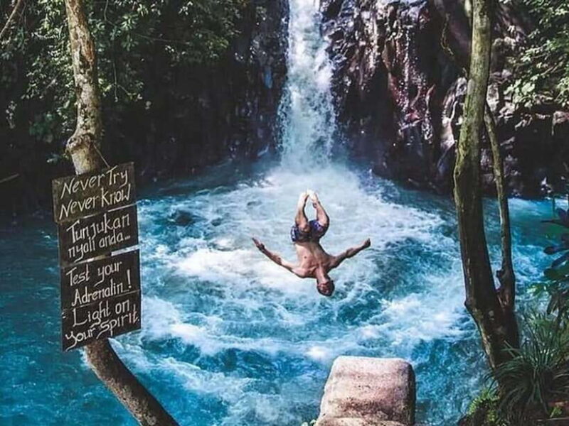 Bali: Dolphin Watching, Aling Aling Waterfall, and Coffee - Authenticity and Experience
