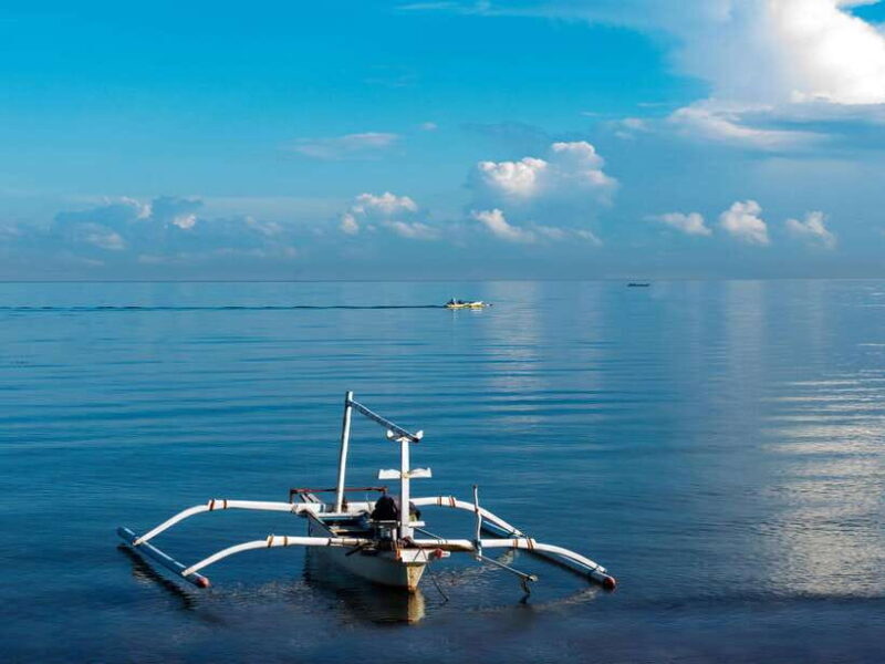 Bali: Dolphin Watching, Aling Aling Waterfall, and Coffee - Who Should Book This Tour?