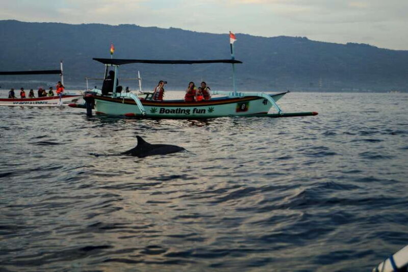 Bali: Dolphin Watching, Sekumpul Waterfall, and Wanagiri - Key Points