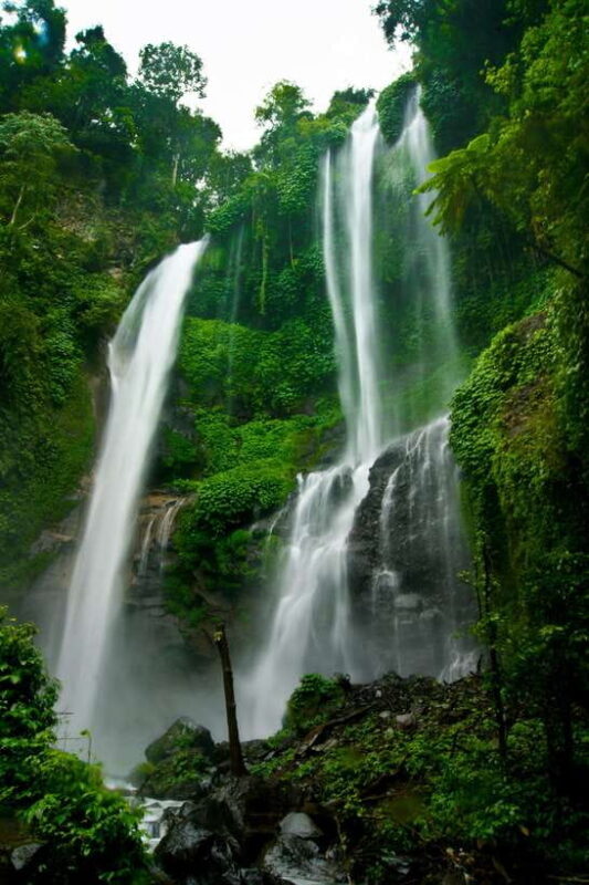 Bali: Dolphin Watching, Sekumpul Waterfall, and Wanagiri - A Closer Look at the Tour Experience