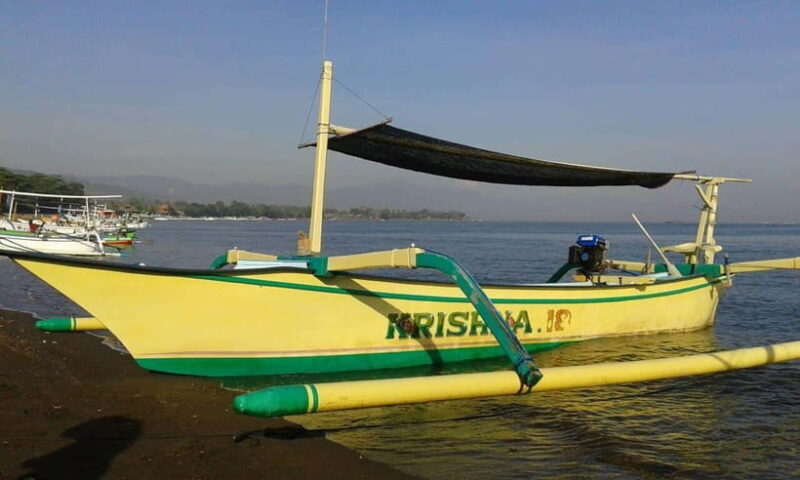 Bali: Dolphin Watching, Waterfall, Wanagiri and Ulun Danu - Final Thoughts