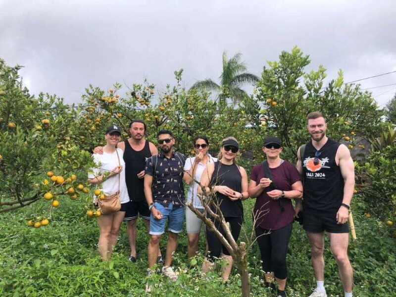 Bali: Downhilll Cycling, Marigold Farm, Rice Field & Temple - A Full Breakdown of the Itinerary