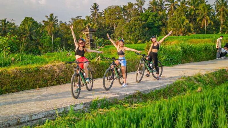 Bali: Downhilll Cycling, Marigold Farm, Rice Field & Temple - What to Expect on the Day