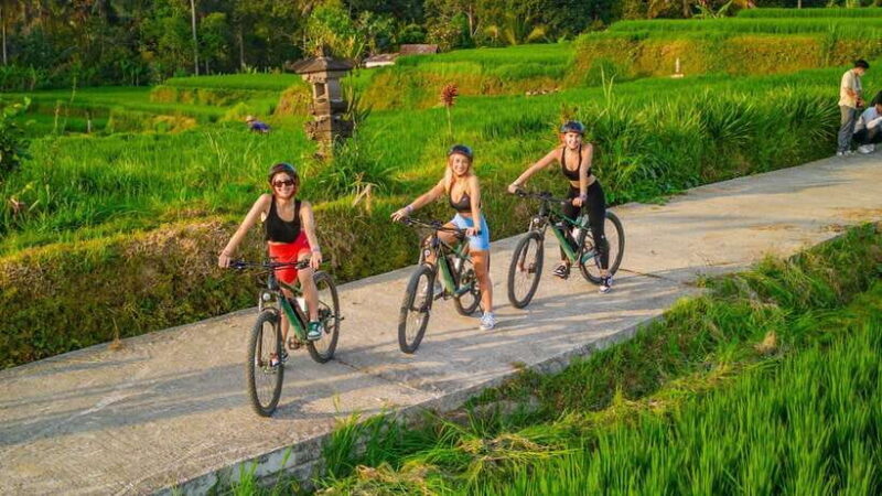 Bali: Downhilll Cycling, Marigold Farm, Rice Field & Temple - Final Verdict