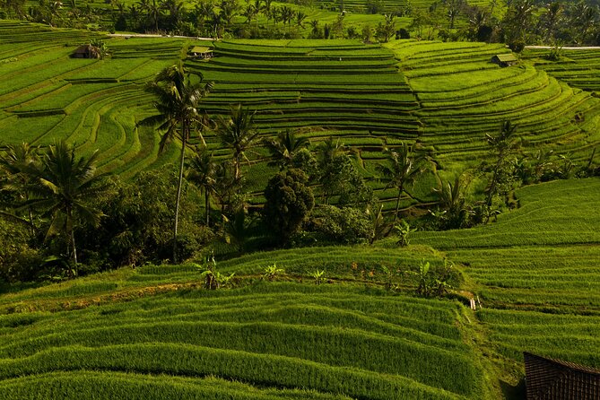 Bali Dream Tours and Transportation - Group Size