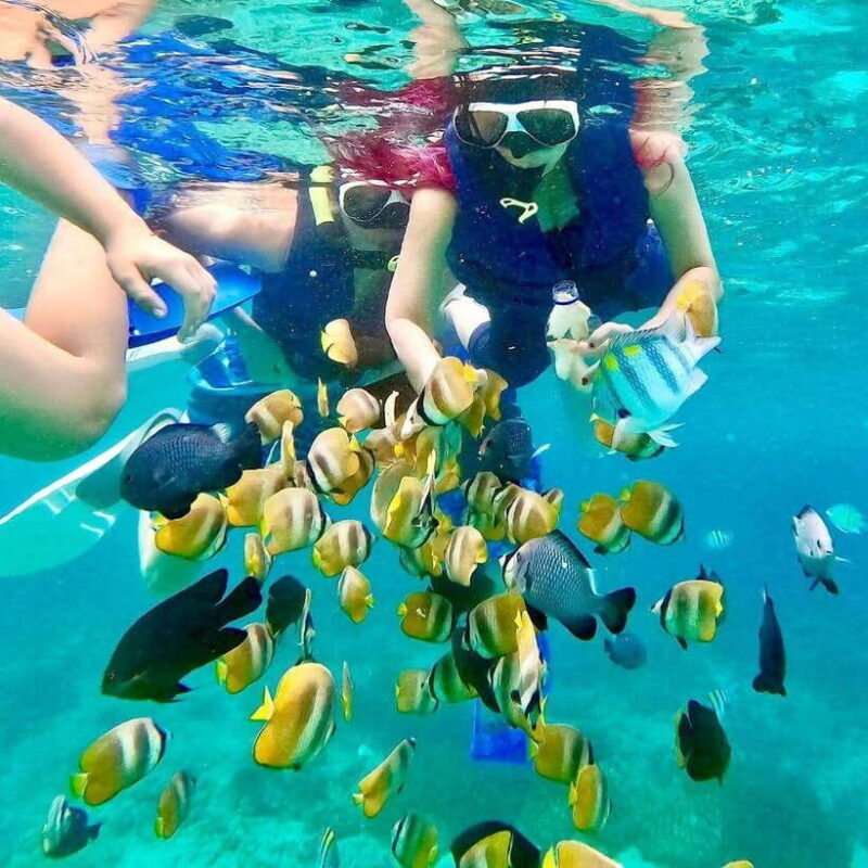 Bali: East Bali Highlights Private Tour - FAQ