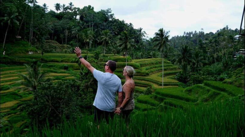 Bali: East Coast Sightseeing Tour with Snorkeling - The Experience — Pros and Cons