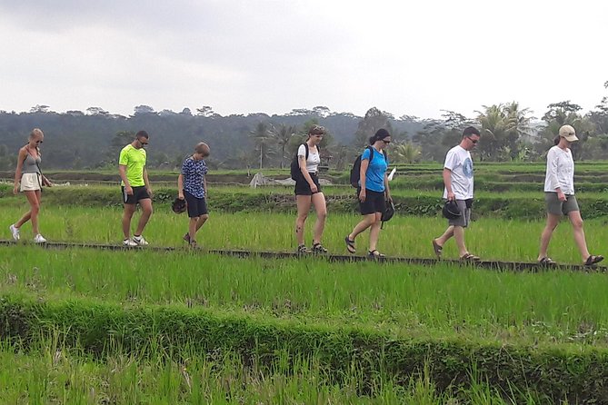 Bali Eco & Educational Cycling Tour - Tour Itinerary and Activities