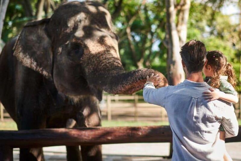 Bali: Elephant Mud Fun Activity - Key Points