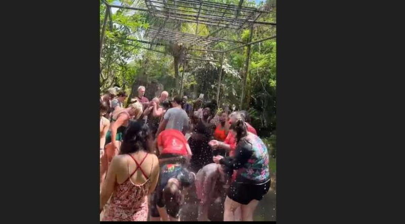 Bali: Elephant Mud Fun Activity - An In-Depth Look at the Bali Elephant Mud Fun Activity