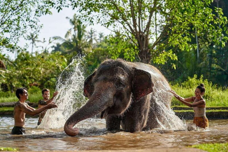 Bali: Elephant Mud Fun Activity - FAQs