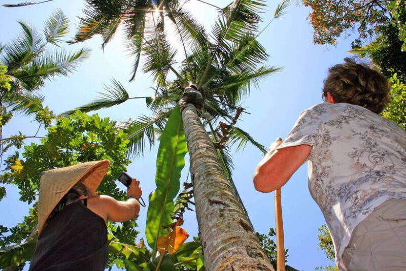 Bali: Experience Authentic Balinese Life Private Tour - Final Thoughts: Who Will Love This Tour?