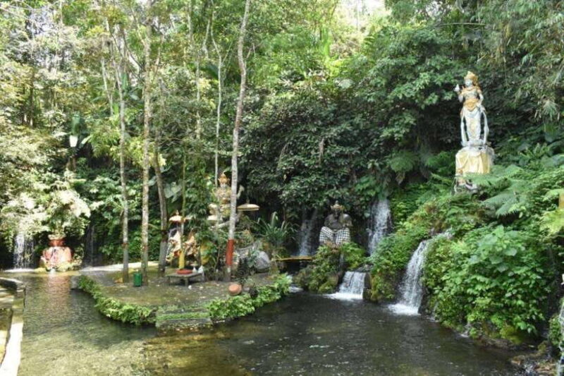 Bali Experience: Dance, Purification, & Culinary Journey - Final Thoughts: Who Will Love This Tour?
