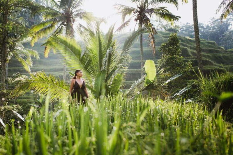 Bali : Explore Beauty of Ubud with 3 Best Tour Options - An In-Depth Look at Ubud’s Top Tours