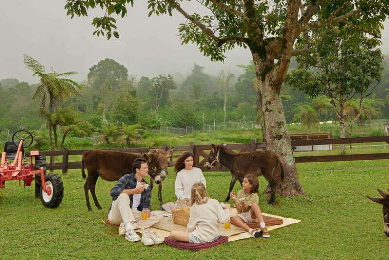 Bali: Farm House Experience with Entry Ticket & Options - Key Points