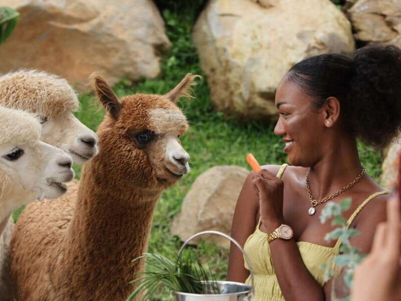 Bali: Farm House Experience with Entry Ticket & Options - An Introduction to the Bali Farm House Experience