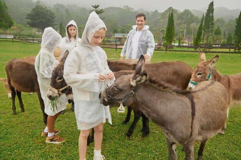 Bali: Farm House Experience with Entry Ticket & Options - Detailed Breakdown of the Itinerary