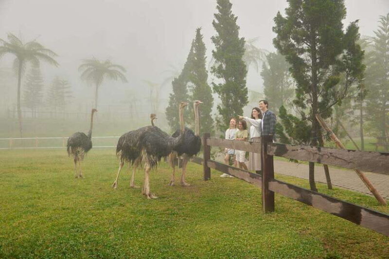 Bali: Farm House Experience with Entry Ticket & Options - Analyzing the Value: Price and Experience