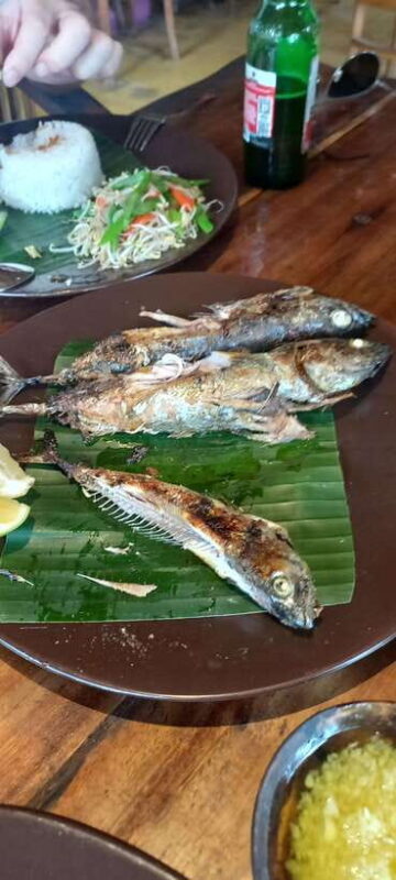 Bali : Fishing Trip & Blue lagoon Snorkeling : All Inclusive - Practical Details: What You Need to Know