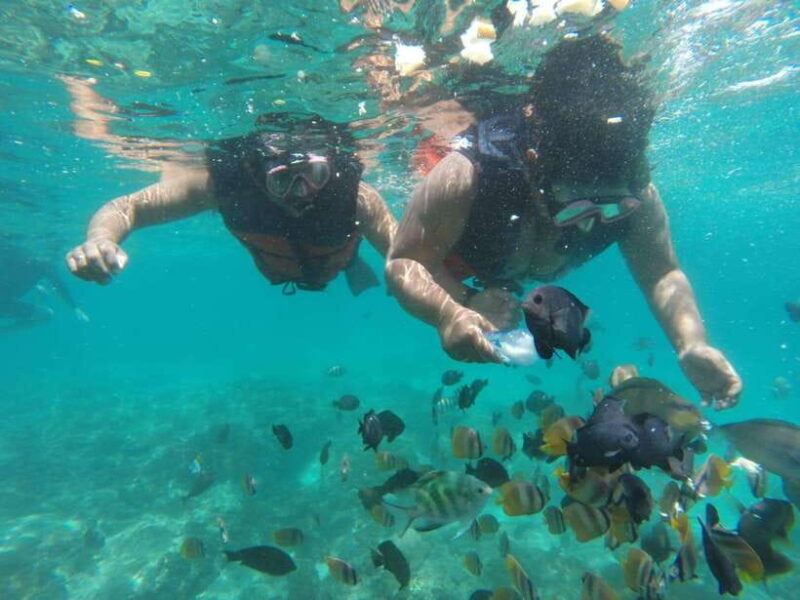Bali : Fishing Trip & Blue lagoon Snorkeling : All Inclusive - Who Should Consider This Tour?