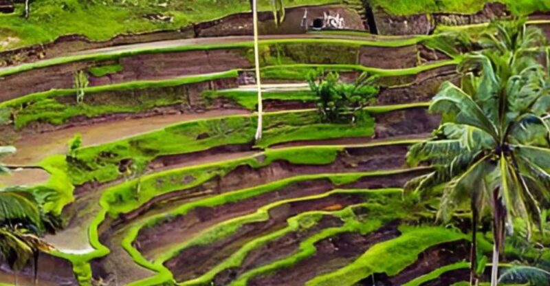 BALI :Full Day Customized Private Tour - Pickup and Drop-off Locations
