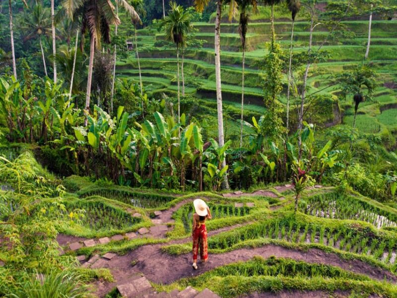 Bali: Full-Day Island Exploration Tour - What to Bring and Not Allowed