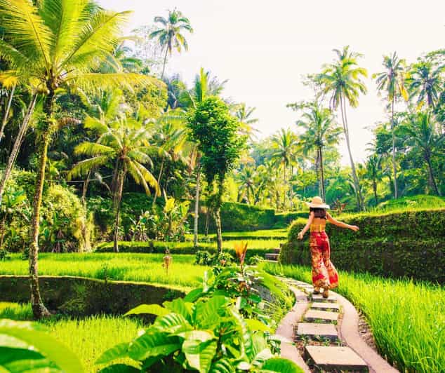 Bali: Full-Day Private Tour of Ubuds Natural Wonders - Good To Know