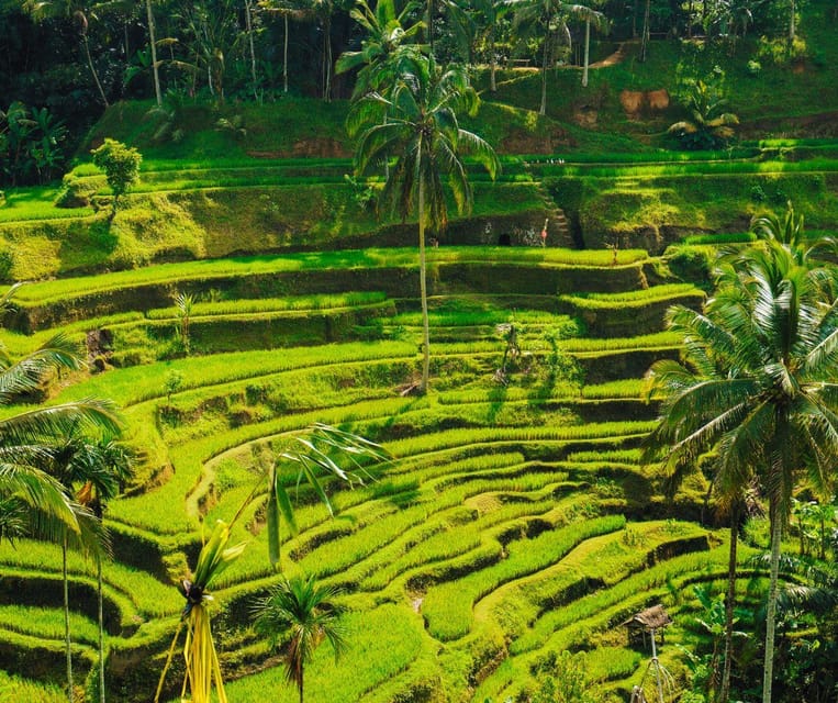 Bali: Full-Day Private Tour of Ubuds Natural Wonders - Itinerary Highlights