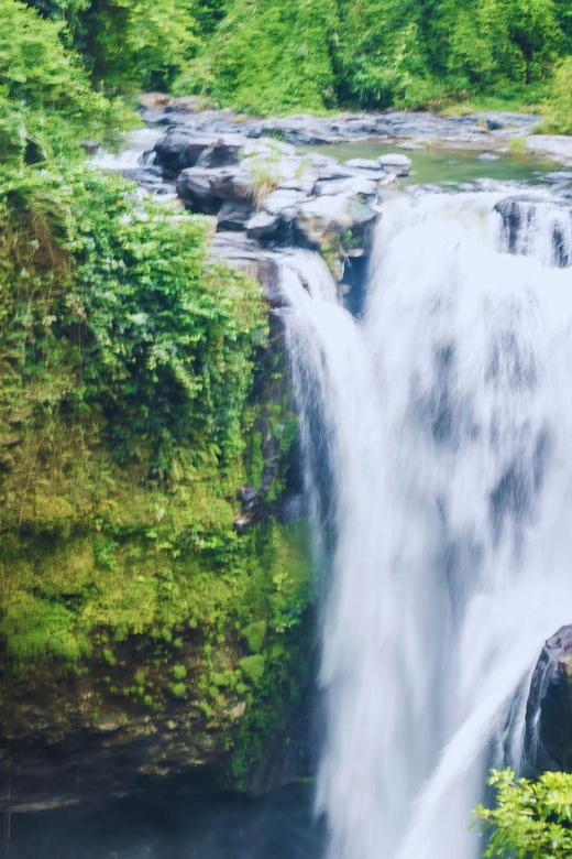 Bali: Full-Day Private Tour of Ubuds Natural Wonders - Experience Details