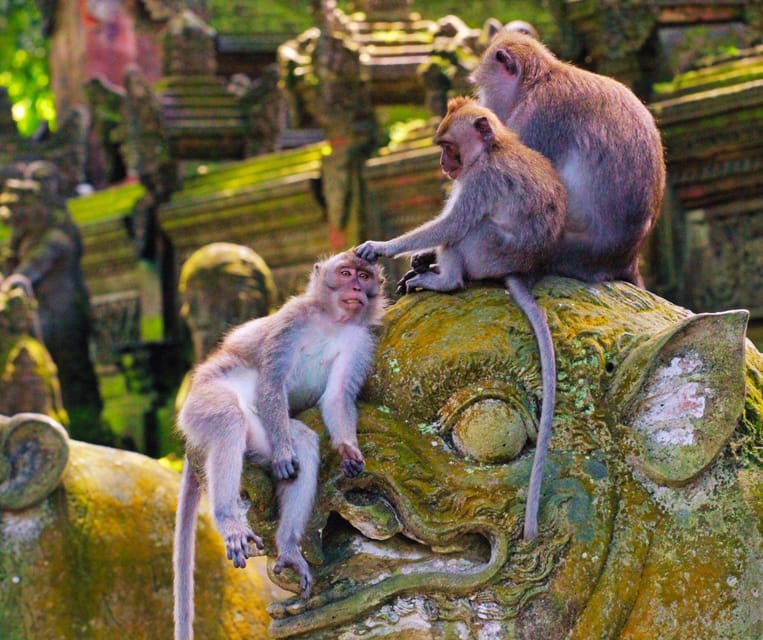 Bali: Full-Day Private Tour of Ubuds Natural Wonders - Tour Highlights