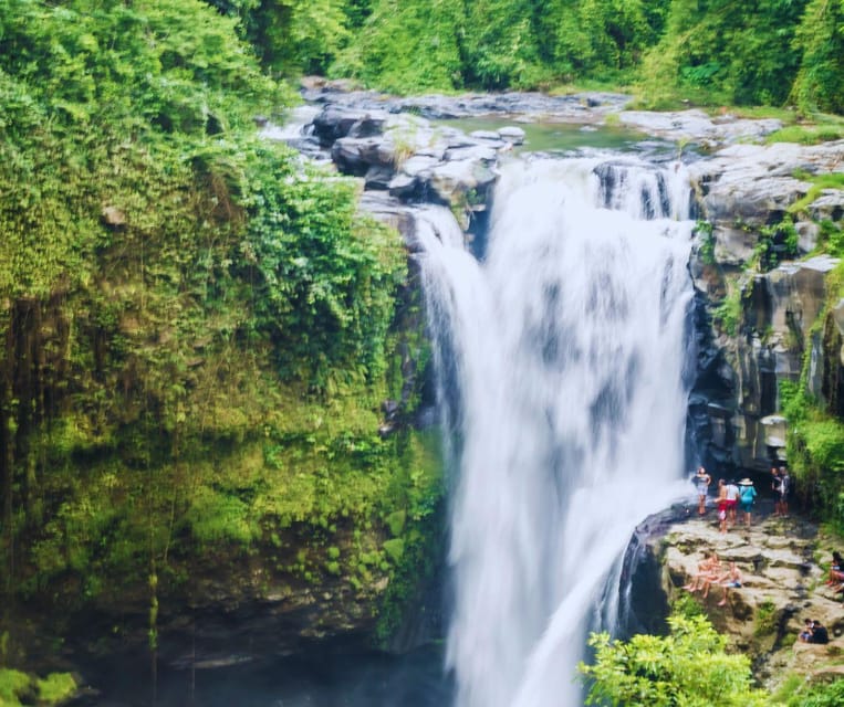 Bali: Full-Day Private Tour of Ubuds Natural Wonders - Inclusions and Important Information