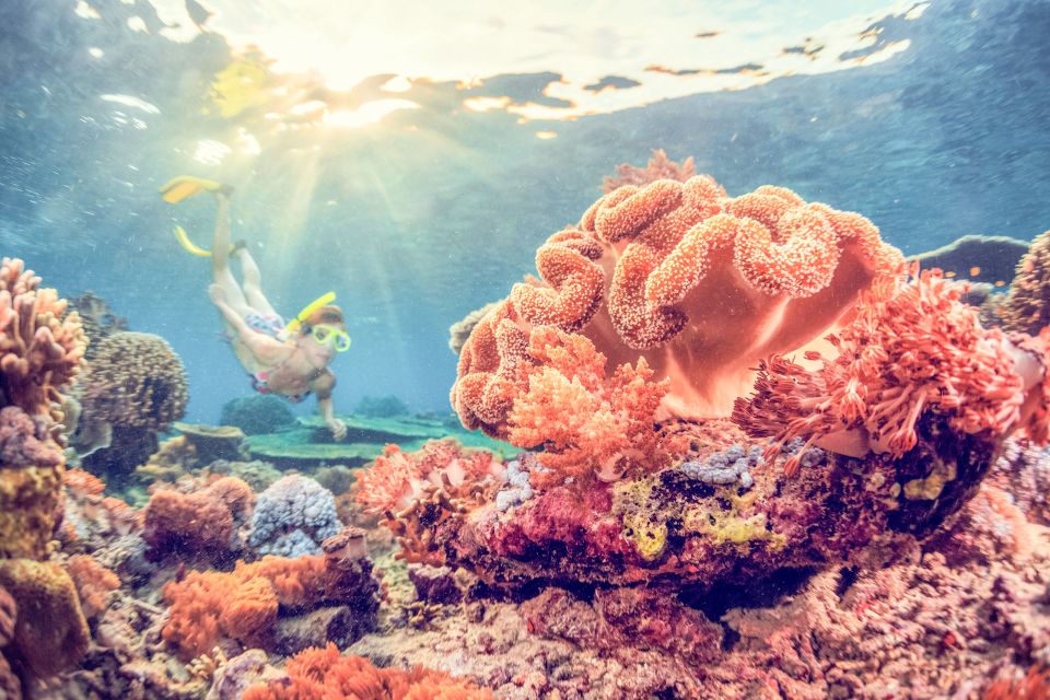 Bali: Full-Day Snorkeling Trip to Nusa Penida & Manta Point - Key Points