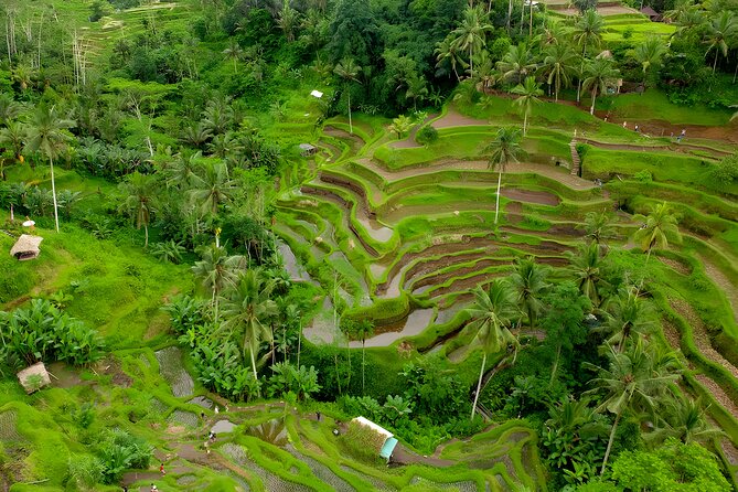 Bali Full Day-Tour: Ubud Sightseeing Trip - Booking Process