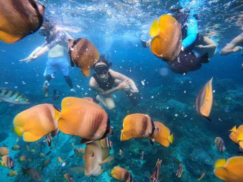 Bali Full Day Trip Fishing, Snorkeling,Eat in Candidasa - Lunch and Relaxation — A Feast on the Beach