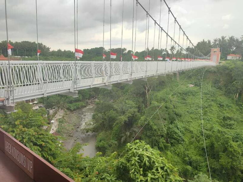 Bali: Glass Bridge Admission Ticket - Key Points