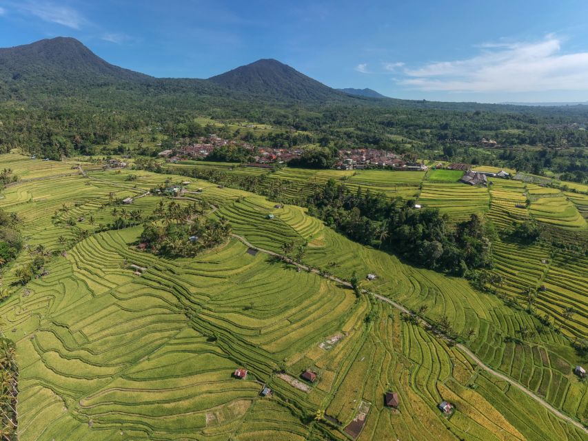 Bali: Green and Heritage West Trip Private Tour, Luxury Car - Iconic Sites Visited