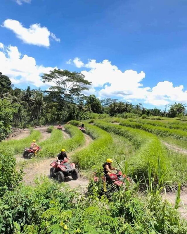 Bali: Guided Quad Bike Ride with Waterfall and Swing Options - Final Thoughts